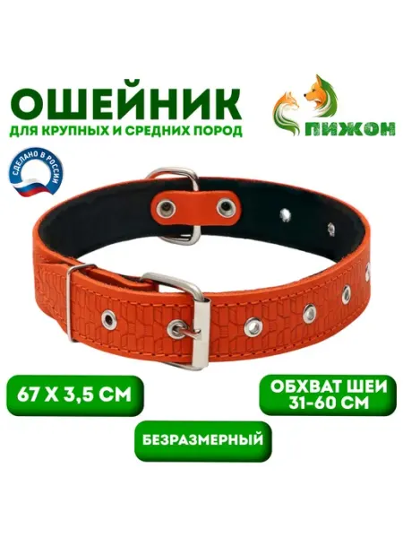 Ошейник кожаный тисненый на фетре 64х3,5см ОШ31-60см Пижон