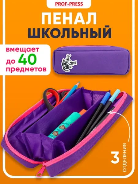 Пенал школьный вместительный подростковый Проф-Пресс
