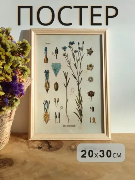 Постер на стену плакат интерьерный Лен 20х30 см LOVELY HOME STORE