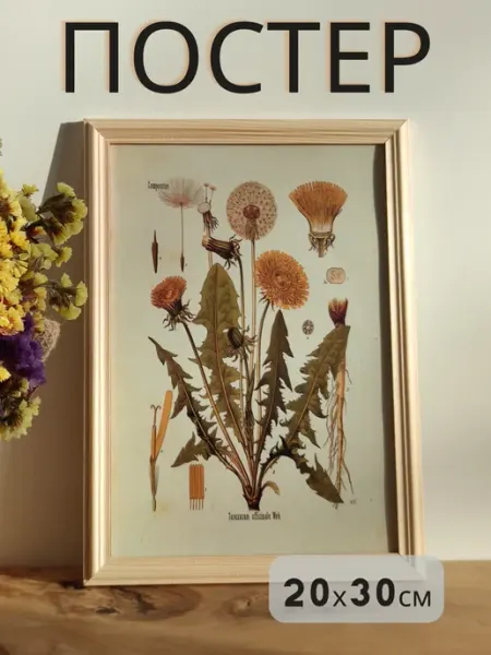 Постер на стену плакат интерьерный Одуванчик 20х30 см LOVELY HOME STORE