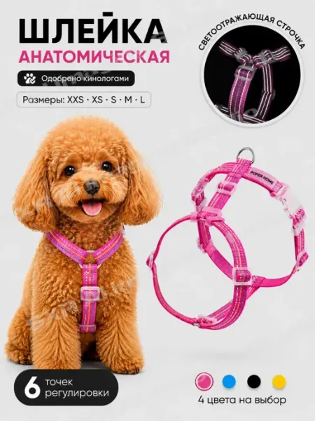 Шлейка для собак мелких и средних пород анатомическая POPER HOME
