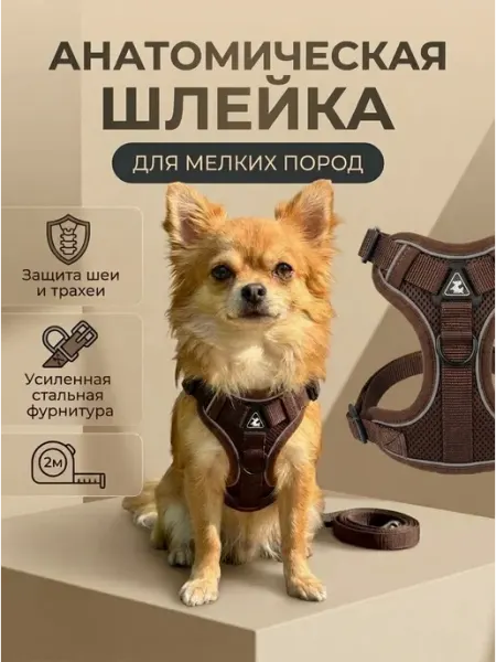 Шлейка для собак мелких пород Ди Мальди