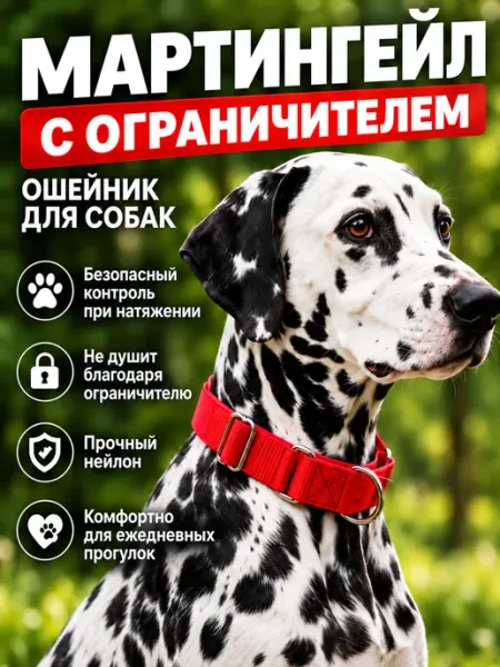 Ошейник мартингейл полуудавка для собак с ограничителем