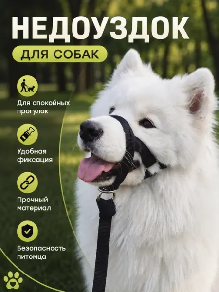 Недоуздок халти для собак с поводком-перестежкой