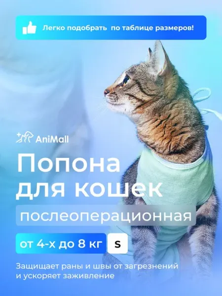 Послеоперационная попона для кошек 4-8 кг из натурального