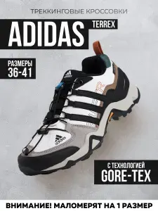 Кроссовки мужские Terrex Swift R2 GTX