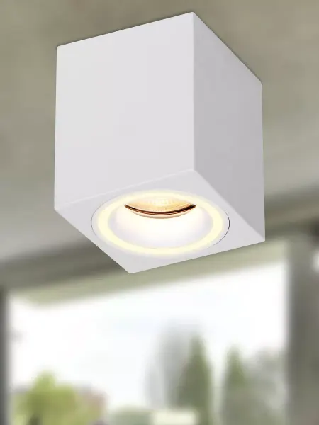 ЭРА Светильник настенно-потолочный OL46 WH MR16 GU10 IP20 белый
