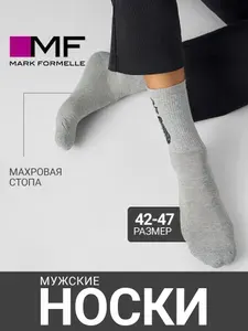 Носки Mark Formelle мужские мужские теплые зимние с махровой стопой в подарок, 1 пара
