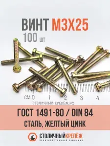 Винт М3 х 25 ГОСТ 1491-80 (DIN 84), сталь, желтый цинк, кл.пр. 5.6, 100 шт