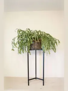 Этажерка, 2 секц., Металл, 30х30х75 см