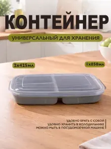 Пластиковый контейнер DDStyle 2х425 мл+1х850 мл универсальный, пищевой 31227