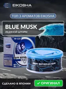 EIKOSHA ароматизатор для машины и дома меловой Spirit Refill - BLUE MUSK / ЛЕДЯНОЙ ШТОРМ, автомобильный парфюм, арт. a-85
