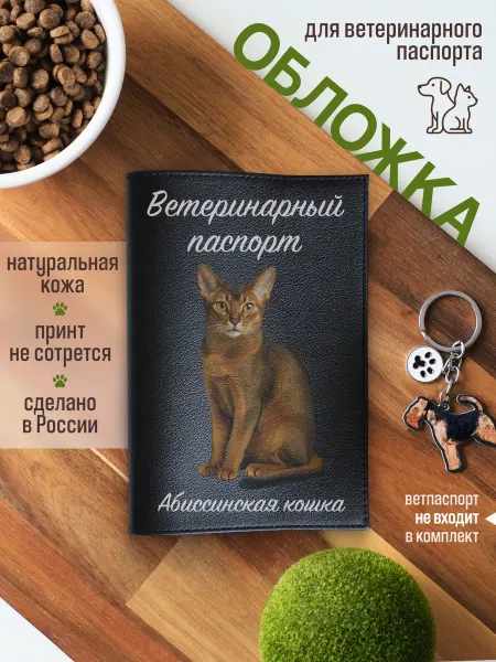 Russian.Handmade Обложка на ветеринарный паспорт для кошек Абиссинская кошка