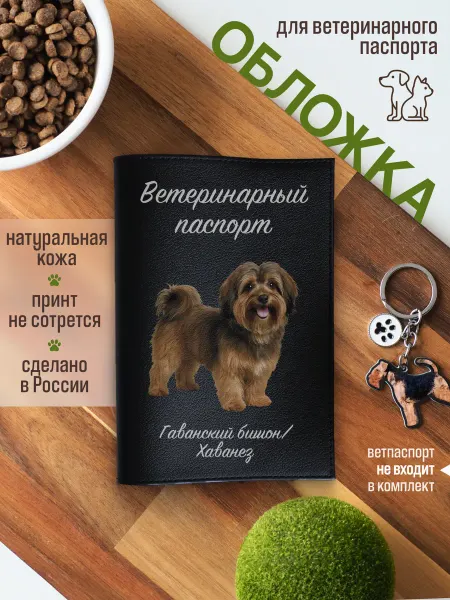 Russian.Handmade Обложка на ветеринарный паспорт Гаванский бишон Хаванез