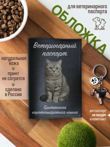 Russian.Handmade Обложка на ветеринарный паспорт Британская короткошерстная к…