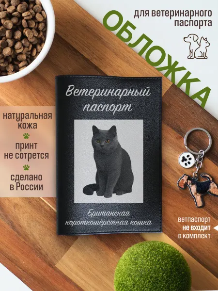 Russian.Handmade Обложка на ветеринарный паспорт для кошек Британская кошка