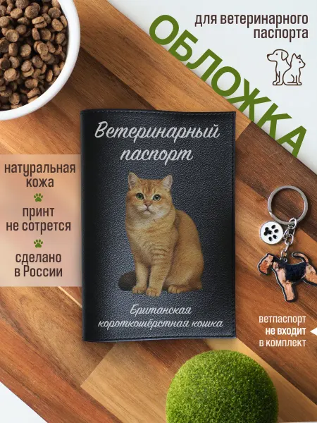 Russian.Handmade Обложка на ветеринарный паспорт для кошек Британская шиншилл…
