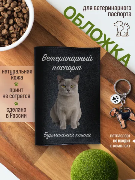 Russian.Handmade Обложка на ветеринарный паспорт для кошек Европейская бурма