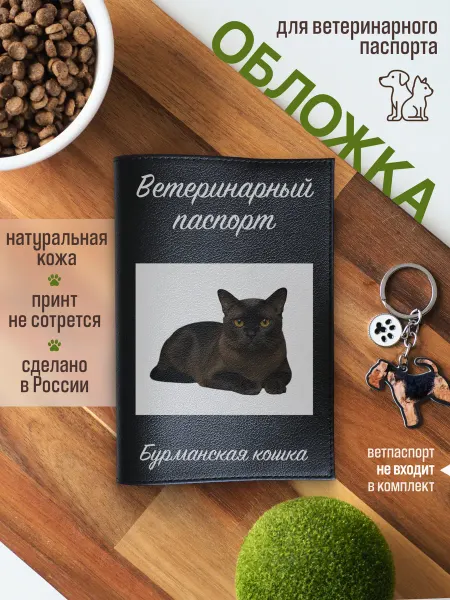Russian.Handmade Обложка на ветеринарный паспорт для кошек Бурманская кошка