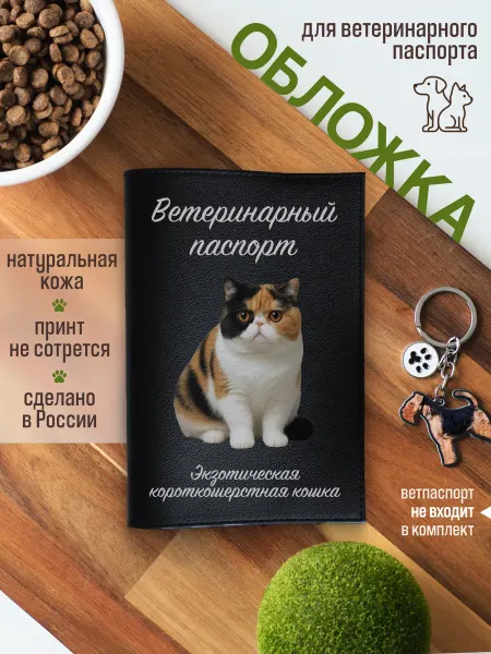 Russian.Handmade Обложка на вет паспорт Экзотическая короткошерстная кошка