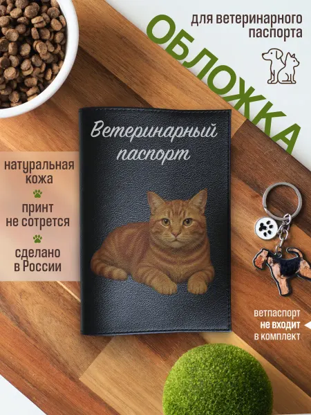 Russian.Handmade Обложка на ветеринарный паспорт для кошек рыжая кошка