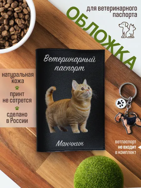 Russian.Handmade Обложка на ветеринарный паспорт для кошек Манчкин