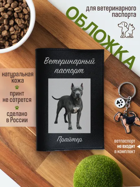 Russian.Handmade Обложка на ветеринарный паспорт с принтом Прайтер