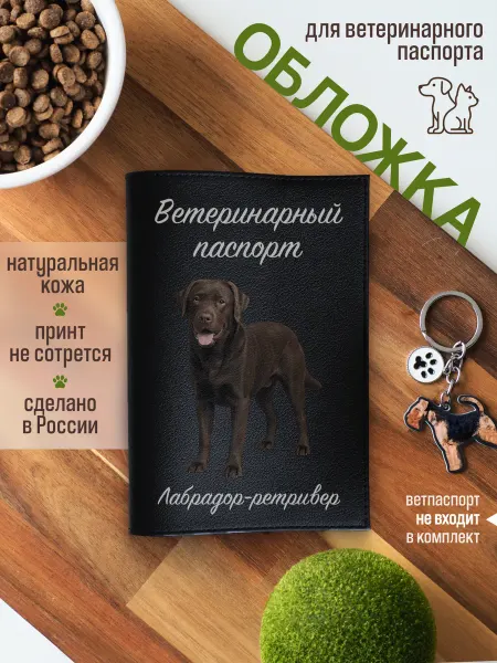 Russian.Handmade Обложка на ветеринарный паспорт Лабрадор-ретривер