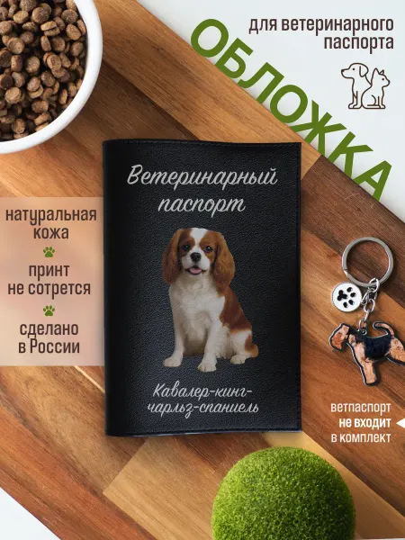 Russian.Handmade Обложка на ветеринарный паспорт Кавалер-кинг-чарльз-спаниель