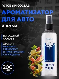Shine Systems Ароматизатор автомобильный, IntoYou