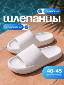 Шлепанцы Birdhouse