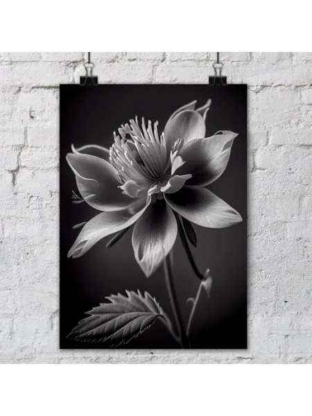 Набор постеров для интерьера - Black & White Flowers Janime