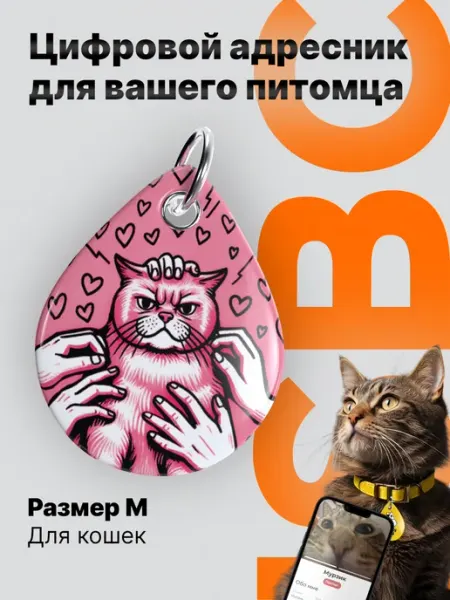 Адресник для кошек с NFC и QR-кодом, My family ISBC