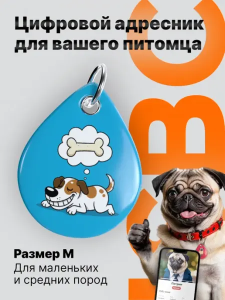 Адресник для собак с NFC и QR-кодом, Косточка ISBC