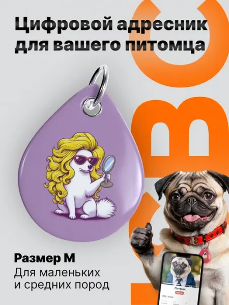 Адресник для собак с NFC и QR-кодом, Красивый ISBC