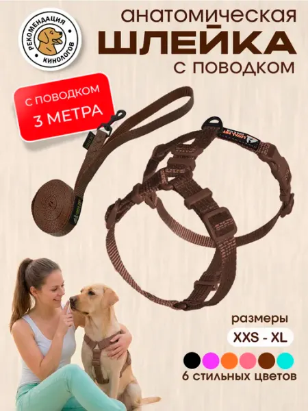 Шлейка для собак с поводком анатомическая светоотражающая loyal pet