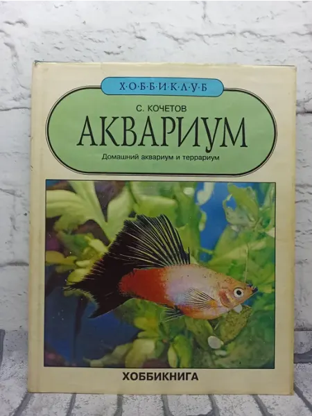 Аквариум. Домашний аквариум и террариум
