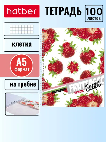Hatber Тетрадь 100 л клетка, обложка с карманом