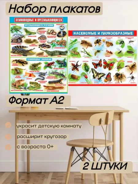 Плакаты детские на стену насекомые земноводные набор ФДА.card