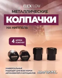 Колпачки на ниппель авто Haval/Хавал, велосипеда металлические