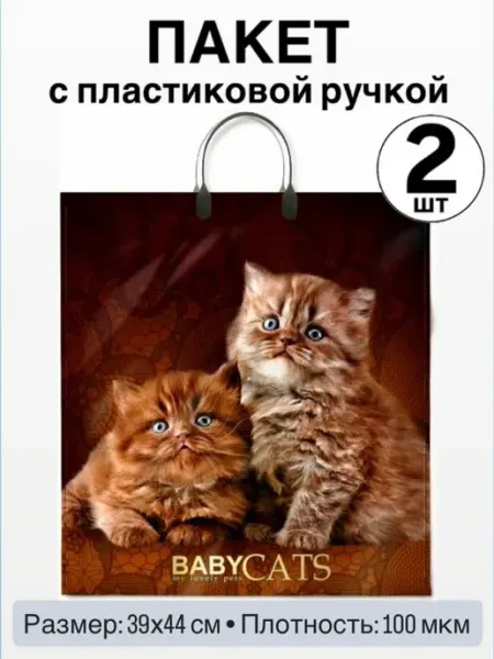 Пакет с пластиковой ручкой Котята (2 штуки)
