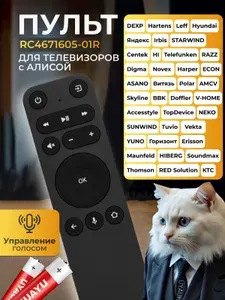 Голосовой пульт RC4671605-01R для телевизоров разных брендов HBT164