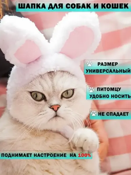 Шапка для собак и кошек Cot-Dog