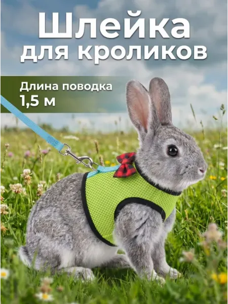 Шлейка поводок для кроликов, грызунов