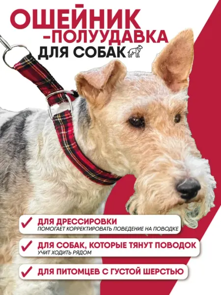 Ошейник полуудавка для собак МОНМОРАНСИ