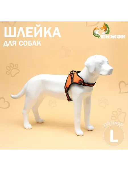 Шлейка для собак прогулочная Пижон