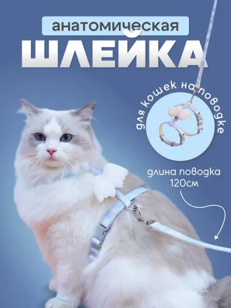 Анатомическая шлейка с крыльями для кошек и мелких собак