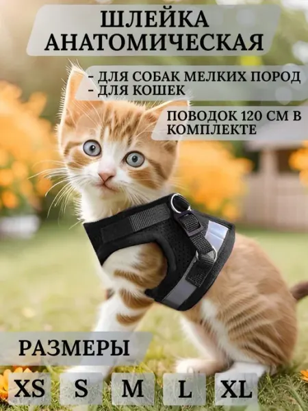 Анатомическая шлейка с поводком для собак и кошек малых