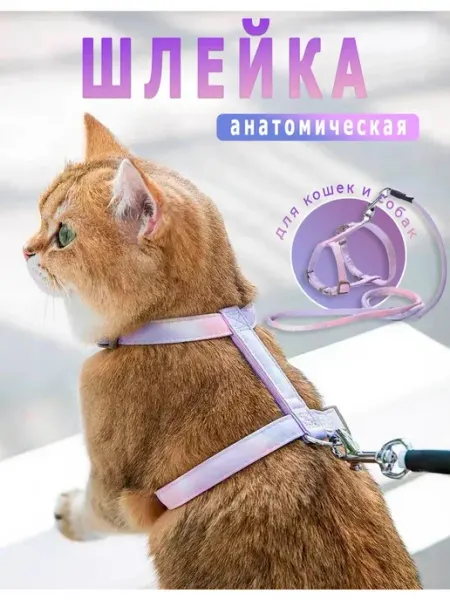 Анатомическая шлейка фиолетового цвета для кошек и мелких