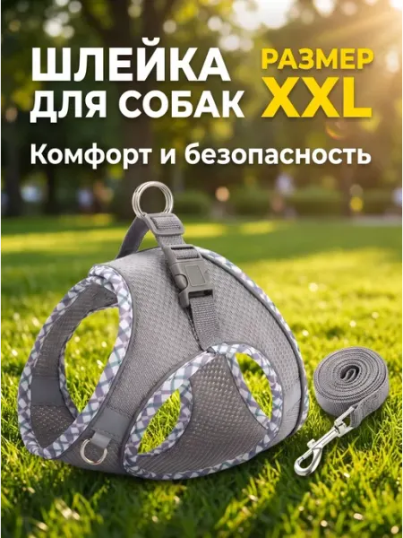 Комфортная шлейка для котят и мелких пород с регулируемым
